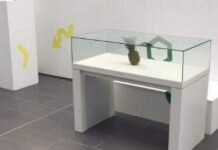 Dejan una piña en una exposición y la gente piensa que es arte